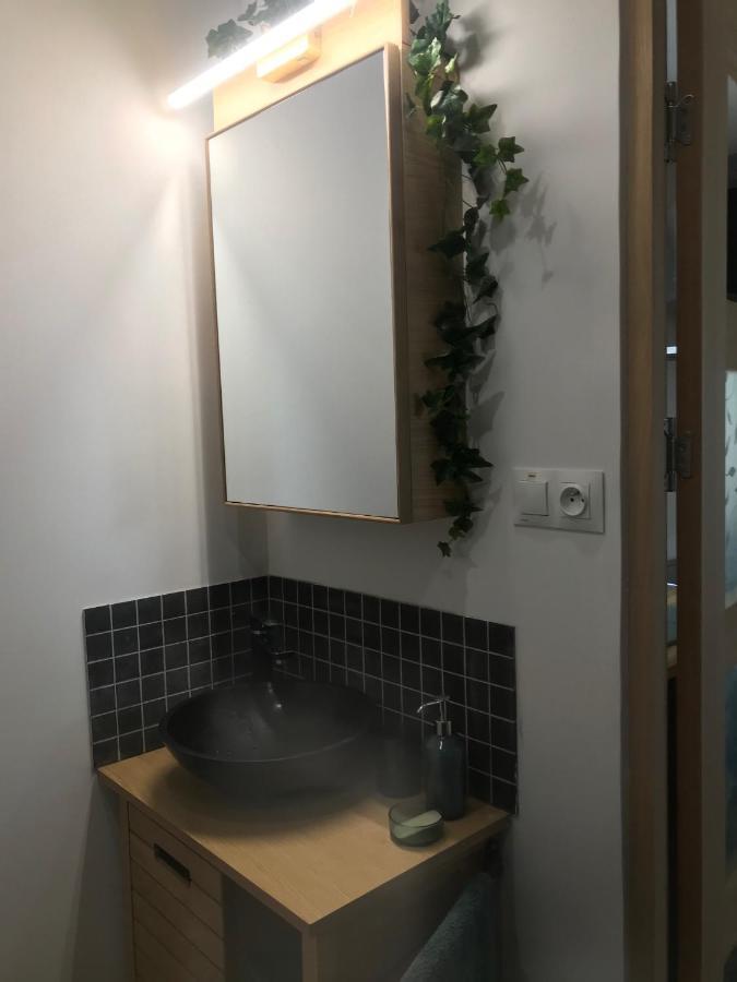La Brindille Petit Mas Provencal Meuble De Tourisme 3 Etoiles 2-3 Personnes 1 Piece 30 M2 Tout Confort Lisiere Foret Jardin Jacuzzi Piscine Saint-Paul-en-Forêt Kültér fotó