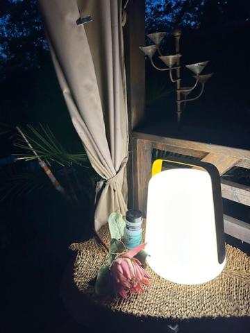 La Brindille Petit Mas Provencal Meuble De Tourisme 3 Etoiles 2-3 Personnes 1 Piece 30 M2 Tout Confort Lisiere Foret Jardin Jacuzzi Piscine Saint-Paul-en-Forêt Kültér fotó