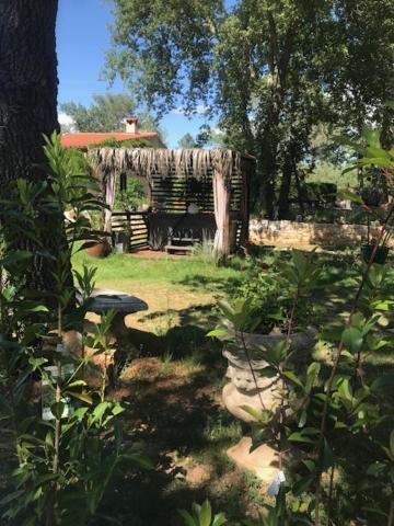 La Brindille Petit Mas Provencal Meuble De Tourisme 3 Etoiles 2-3 Personnes 1 Piece 30 M2 Tout Confort Lisiere Foret Jardin Jacuzzi Piscine Saint-Paul-en-Forêt Kültér fotó